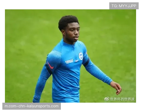 布莱顿B-评级反映近期低迷 格罗斯回归奥赖利外租回归